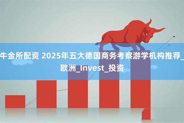 牛金所配资 2025年五大德国商务考察游学机构推荐_欧洲_Invest_投资