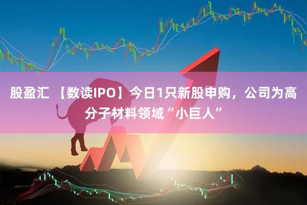 股盈汇 【数读IPO】今日1只新股申购，公司为高分子材料领域“小巨人”